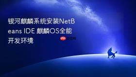 银河麒麟系统安装NetBeans IDE 麒麟OS全能开发环境