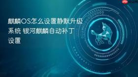 麒麟os怎么设置静默升级系统 银河麒麟自动补丁设置