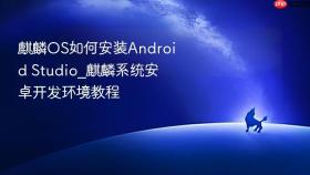 麒麟os如何安装android studio_麒麟系统安卓开发环境教程