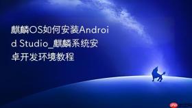 麒麟OS如何安装Android Studio_麒麟系统安卓开发环境教程