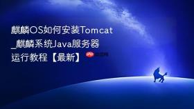 麒麟OS如何安装Tomcat_麒麟系统Java服务器运行教程【最新】