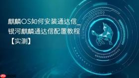 麒麟OS如何安装通达信_银河麒麟通达信配置教程【实测】