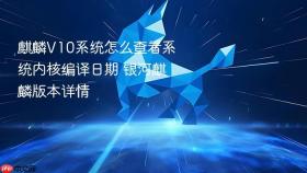 麒麟V10系统怎么查看系统内核编译日期 银河麒麟版本详情