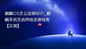 麒麟OS怎么连接WiFi_麒麟系统无线网络连接指南【实测】