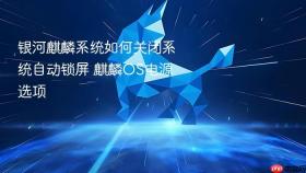 银河麒麟系统如何关闭系统自动锁屏 麒麟os电源选项