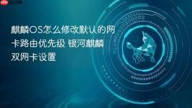 麒麟OS怎么修改默认的网卡路由优先级 银河麒麟双网卡设置
