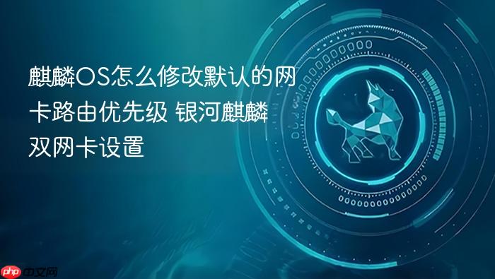 麒麟os怎么修改默认的网卡路由优先级 银河麒麟双网卡设置