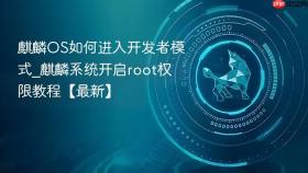 麒麟os如何进入开发者模式_麒麟系统开启root权限教程【最新】