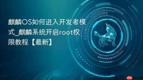 麒麟OS如何进入开发者模式_麒麟系统开启root权限教程【最新】