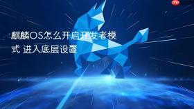 麒麟OS怎么开启开发者模式 进入底层设置