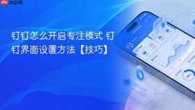 钉钉怎么开启专注模式 钉钉界面设置方法【技巧】