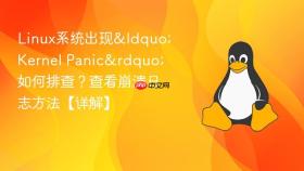 linux系统出现“kernel panic”如何排查?查看崩溃日志方法【详解】