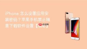 iphone 怎么设置应用安装密码?苹果手机禁止随意下载软件设置【私密】