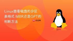 linux查看磁盘的分区表格式 mbr还是gpt的判断方法