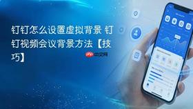钉钉怎么设置虚拟背景 钉钉视频会议背景方法【技巧】