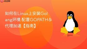 如何在linux上安装golang环境 配置gopath与代理加速【指南】