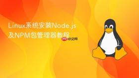 linux系统安装node.js及npm包管理器教程