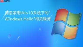 彻底禁用win10系统下的“windows hello”相关服务
