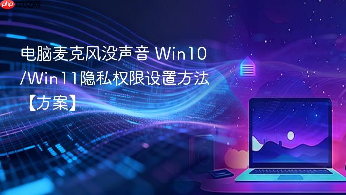 电脑麦克风没声音 win10/win11隐私权限设置方法【方案】