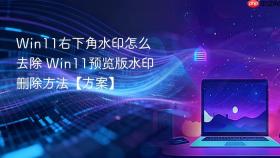 Win11右下角水印怎么去除 Win11预览版水印删除方法【方案】