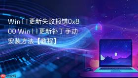 Win11更新失败报错0x800 Win11更新补丁手动安装方法【教程】