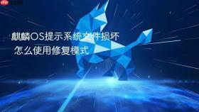 麒麟OS提示系统文件损坏 怎么使用修复模式