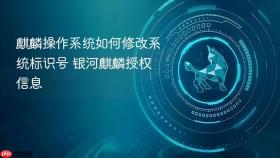 麒麟操作系统如何修改系统标识号 银河麒麟授权信息