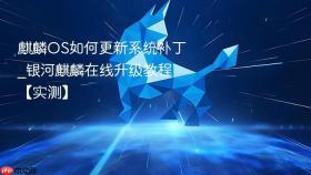 麒麟os如何更新系统补丁_银河麒麟在线升级教程【实测】