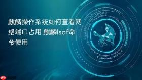 麒麟操作系统如何查看网络端口占用 麒麟lsof命令使用