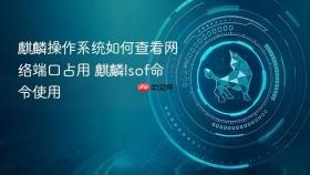 麒麟操作系统如何查看网络端口占用 麒麟lsof命令使用
