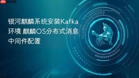 银河麒麟系统安装kafka环境 麒麟os分布式消息中间件配置