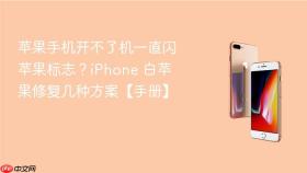 苹果手机开不了机一直闪苹果标志?iphone 白苹果修复几种方案【手册】