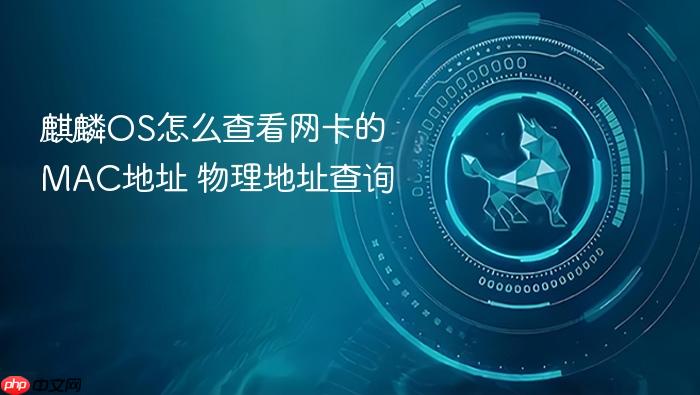 麒麟os怎么查看网卡的mac地址 物理地址查询