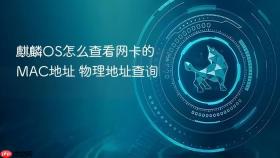 麒麟os怎么查看网卡的mac地址 物理地址查询