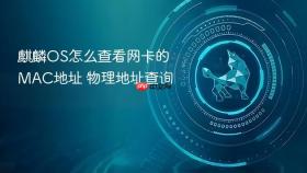 麒麟OS怎么查看网卡的MAC地址 物理地址查询