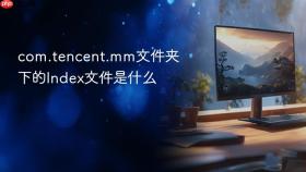 com.tencent.mm文件夹下的Index文件是什么