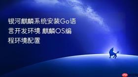 银河麒麟系统安装go语言开发环境 麒麟os编程环境配置