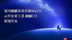 银河麒麟系统安装WeChat开发者工具 麒麟OS前端开发