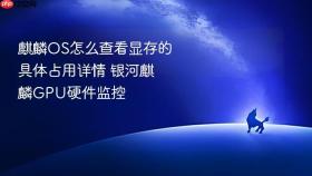 麒麟os怎么查看显存的具体占用详情 银河麒麟gpu硬件监控