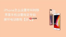 iPhone怎么设置呼叫转移 苹果手机设置指定号码接听电话教程【分享】