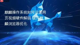 麒麟操作系统如何设置网页视频硬件解码 银河麒麟浏览器优化