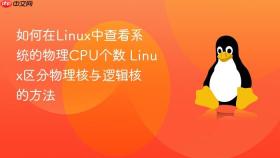 如何在linux中查看系统的物理cpu个数 linux区分物理核与逻辑核的方法