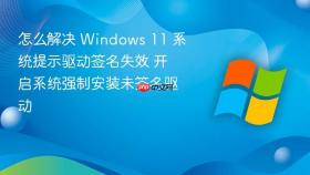 怎么解决 windows 11 系统提示驱动签名失效 开启系统强制安装未签名驱动