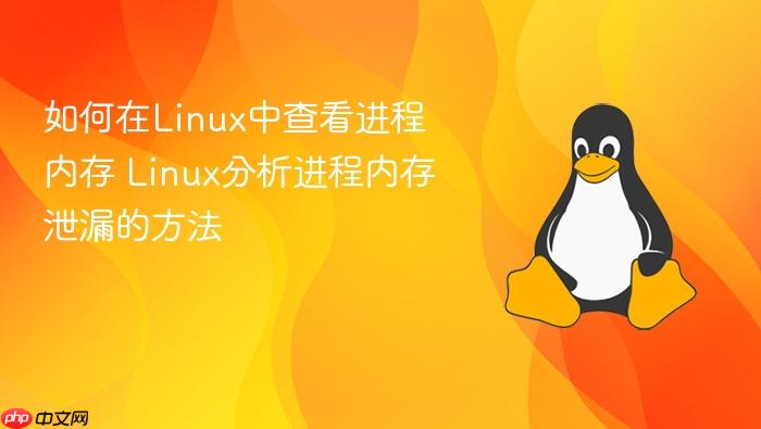 如何在linux中查看进程内存 linux分析进程内存泄漏的方法
