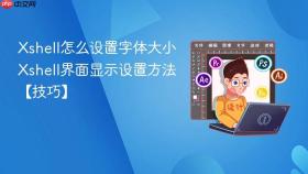 Xshell怎么设置字体大小 Xshell界面显示设置方法【技巧】