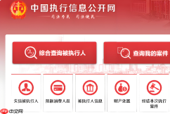 中国执行信息公开网官方入口 2026最新被执行人信息查询系统