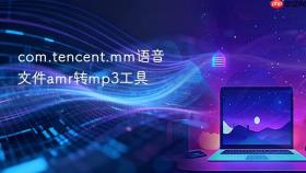 com.tencent.mm语音文件amr转mp3工具
