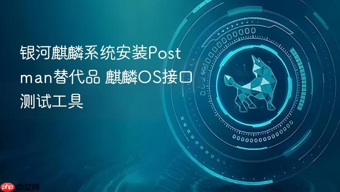 银河麒麟系统安装postman替代品 麒麟os接口测试工具