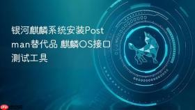银河麒麟系统安装postman替代品 麒麟os接口测试工具