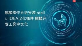 麒麟操作系统安装IntelliJ IDEA汉化插件 麒麟开发工具中文化